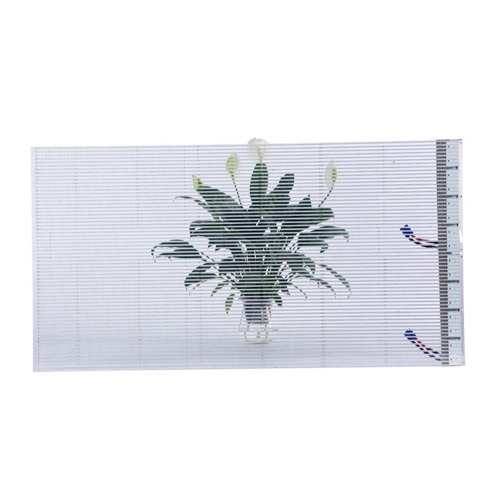 Transparent LED Screen